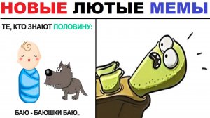 Лютые шортсы. Колыбельная, породы кошек, УЧЁБА!