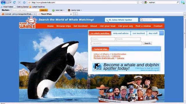 TUTORIAL: How to create Sponsored Links on www.PlanetWhale.com смотреть онлайн