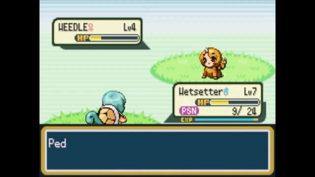 Child abduction Pokémon: Part 1 смотреть онлайн