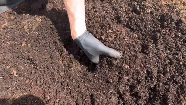 Работа с червем Дендробеной в буртах смотреть онлайн