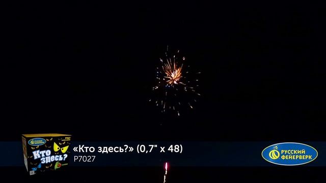Фейерверк Р7027 Кто здесь? (0,7" х 48) смотреть онлайн