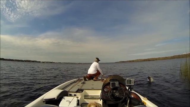 15 second fish catch lake tarpon смотреть онлайн