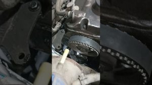 как поменять грм заз вида