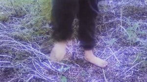 Победный танец, завалил очередного медведя.