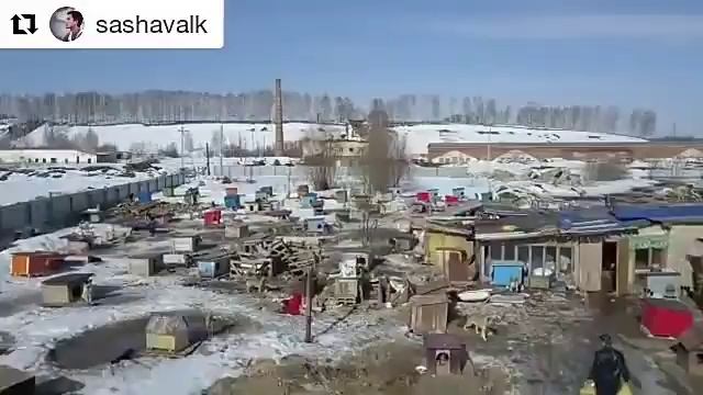 приют сверху