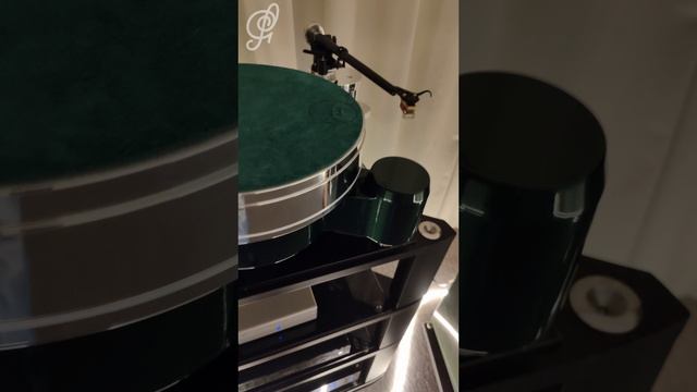 Focal Diva Utopia - Hi-Fi & High End Show 2025 СПб смотреть онлайн