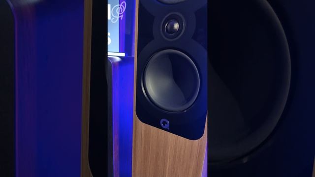 Q Acoustics + Parasound - Hi-Fi & High End Show 2025 СПб смотреть онлайн