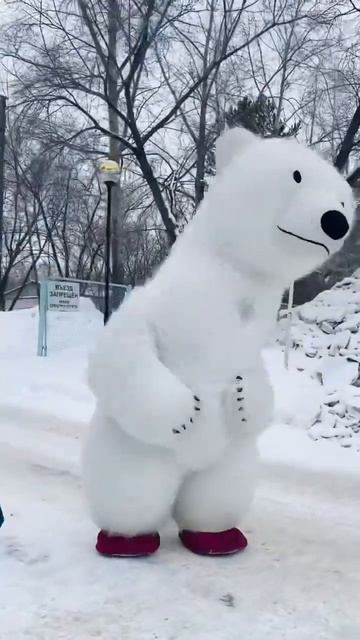 Очень милое поздравление от белого медведя 🫰🏻 #shorts #рекомендации #танцы #поздравление смотреть онлайн