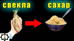 Как добыть САХАР из СВЕКЛЫ
