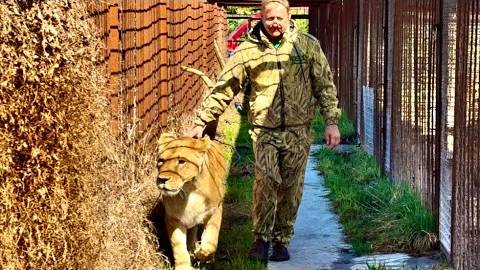 Олег Зубков от всего сердца поздравляет главного Айболита страны Карена Далакяна смотреть онлайн