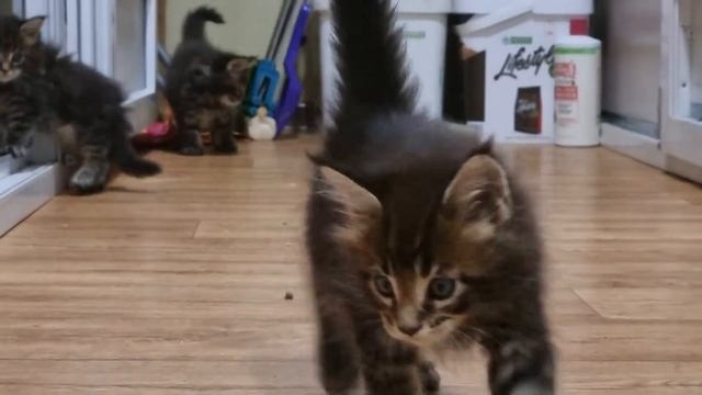 7 декабря 2021 г. НАШ первый выход в люди