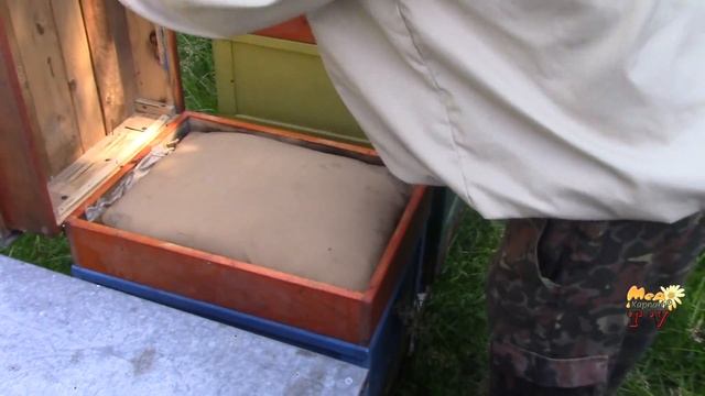 Вулики на рамку Рута - виживаємість бдлжіл та їх продуктивність. смотреть онлайн