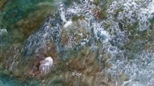 Чудеса Корана, которыми мы пользуемся до сих пор.