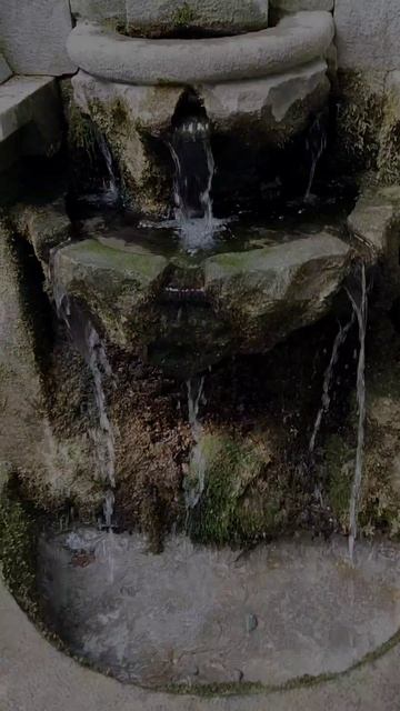 Воронцовский парк 💖💖💖 смотреть онлайн