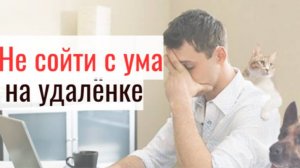 Как не сойти с ума, работая дома на удалёнке. 5 простых советов