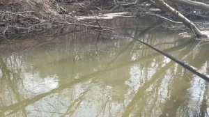 Рыбалка с боковым кивком на малой реке весной. Март 2025