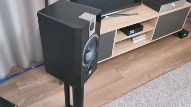 Focal Chorus 806 V Vs Chorus 806 W