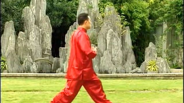 LIANG GONG SHI BA FA XU JI   CONTINUAÇÃO   I QI GONG