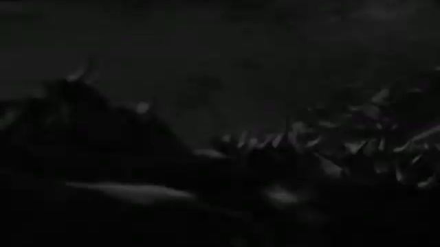 the Grave Brothers - From the hills up north смотреть онлайн