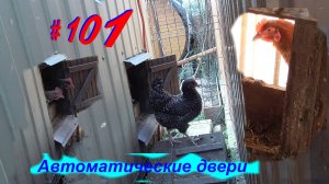 Курятник. Автоматическая дверь летка в курятнике. ЖНД#101.