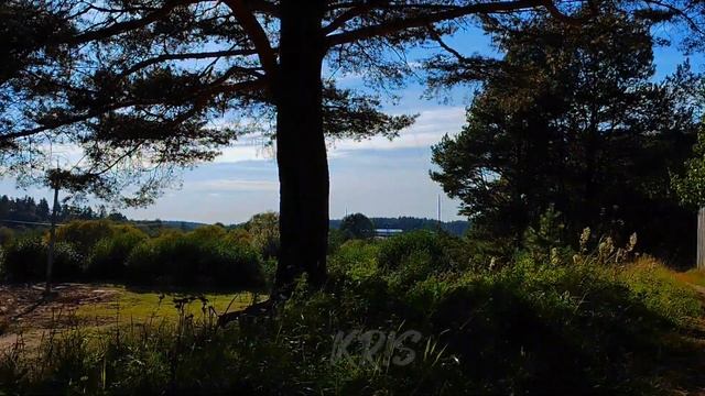 AURORA-RUNAWAY FAN KLIP смотреть онлайн