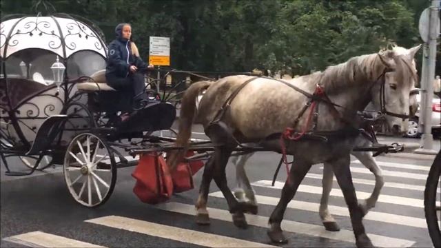 ПИТЕР *__*  // Здравствуй и прощай