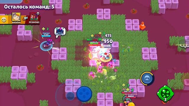 играю в бравл старс кидайте заявки в друзья