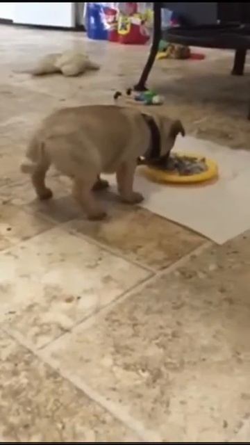 Никогда не ешьте ГОРОХОВЫЙ СУП！