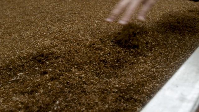Fluval Bug Bites Insect Larvae Fish Food