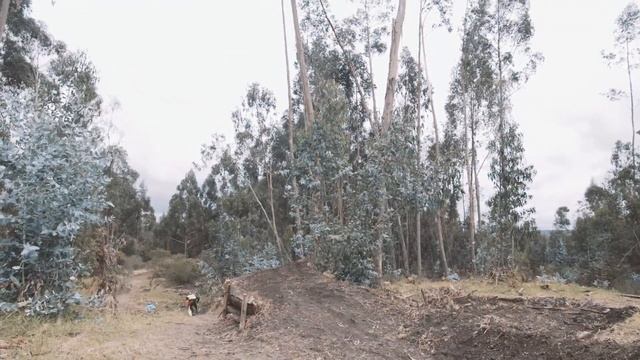 Marcelo Gutiérrez Rides Into the Earth: Colombia | Downhill MTB смотреть онлайн