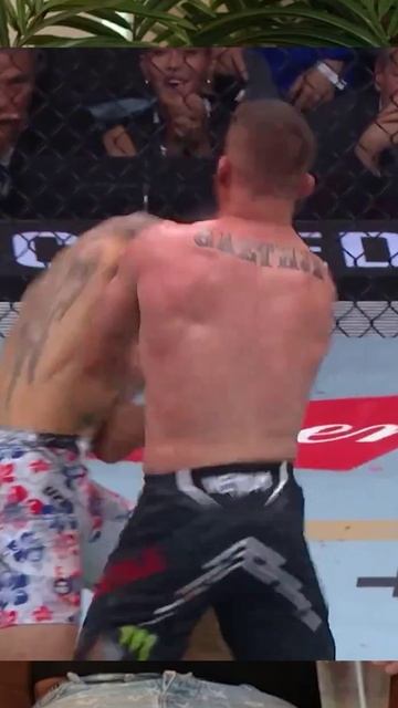 Топурия вырубит Гейджи? Масвидаль ставит на грузинского терминатора! смотреть онлайн