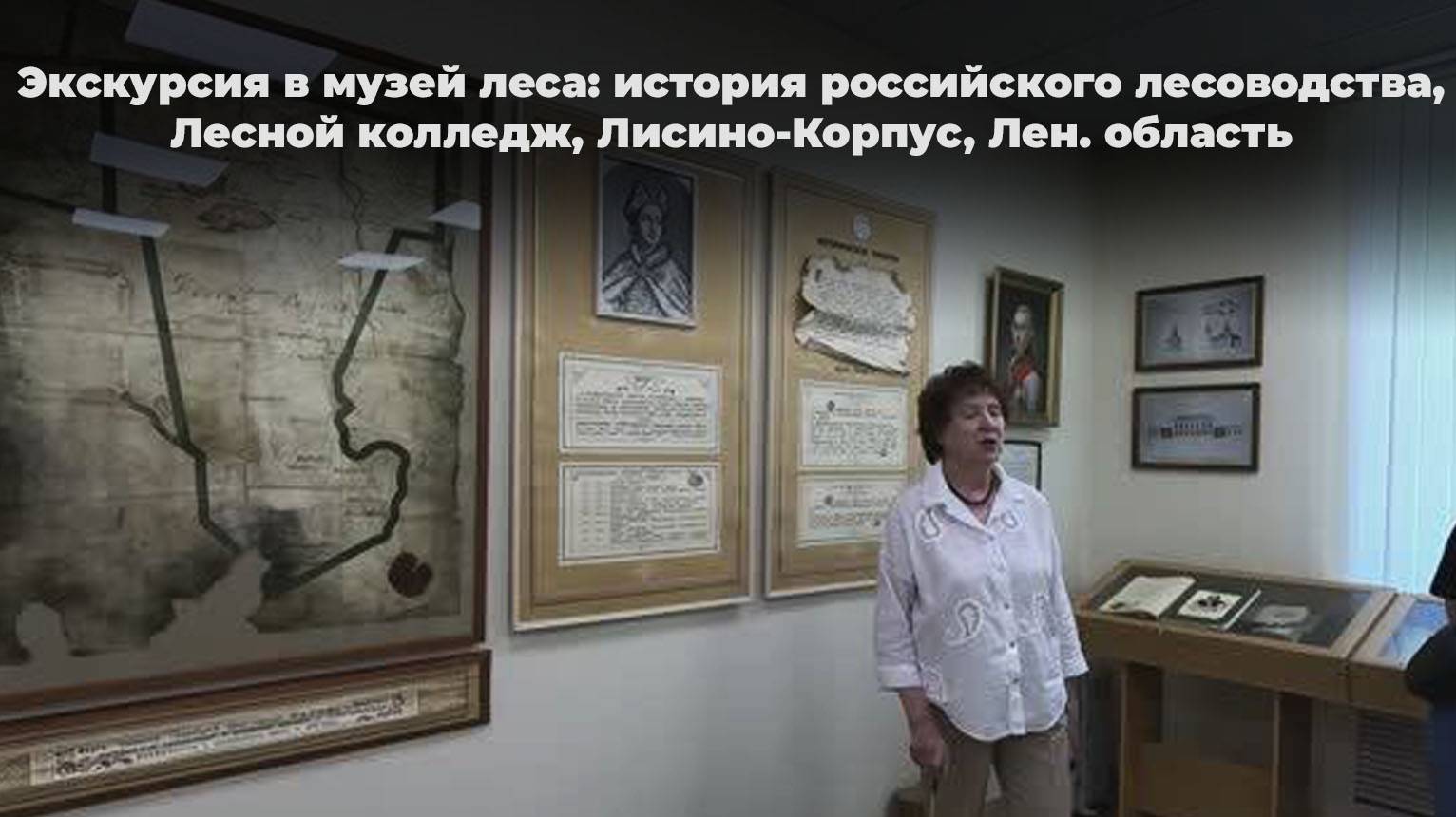 Экскурсия в музей леса: история российского лесоводства, Лесной колледж, Лисино-Корпус, Лен. область смотреть онлайн