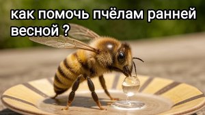 Вода для пчёл весной! Пчеловодство Владимирской области.