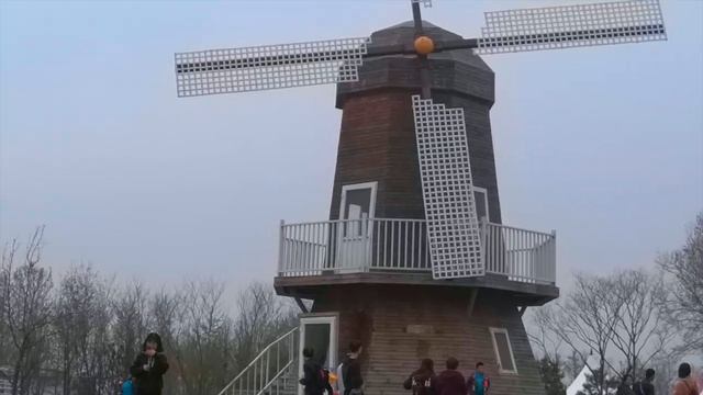 Weekend Vlog 5 | Tulip festival🌷郁金香节 | International Flower Port 国际鲜花港 смотреть онлайн