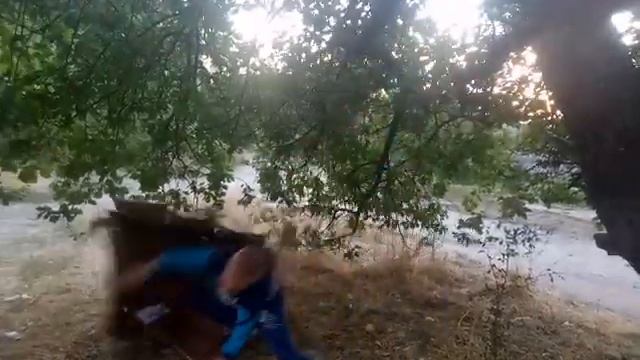 мой друг упал с дерева на кортон смотреть онлайн