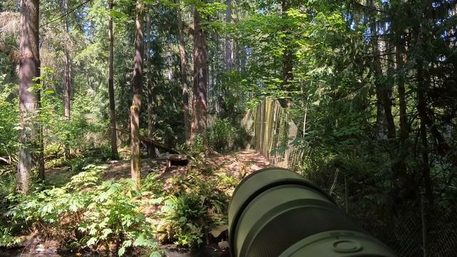 Northwest Trek Wildlife Park | Eatonville, WA | July 2024 | Insta360 GO 3S | Animals | 4K смотреть онлайн