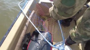 Рыбалка в Астрахани, весна 2024г.