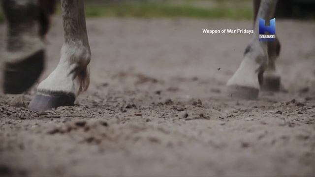 История оружия 3 серия «Оружие ближнего боя» (документальный сериал, 2018)