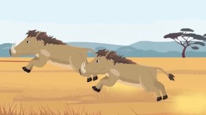 Carnivores Animal vs Herbivores Animal [S1] | Animal Animation