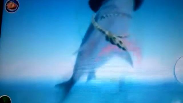 Epic в hugry shark смотреть онлайн