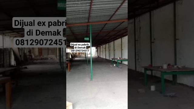 🇮🇩#DIJUAL 12 M bisa Nego Ex PABRIK Furnitur di Kr AWen Demak-Jateng-hubungi #081290724517 смотреть онлайн