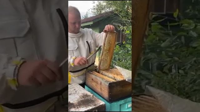 Жизнь с природой смотреть онлайн