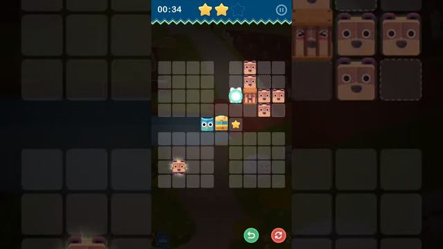 Puzzle Bear 35