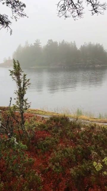 Lake Ladoga In Russia || Beautiful Lake In Russia||#natureshorts #shorts #short