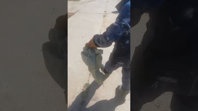 спасение зайца август 2022г. Череповец смотреть онлайн