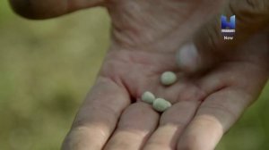 История оружия 2 серия «Атака сверху» (документальный сериал, 2018)