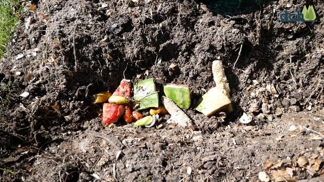 Trench Composting смотреть онлайн