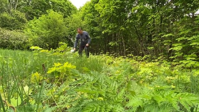 Весна в деревне. Рыбалка на плотву смотреть онлайн