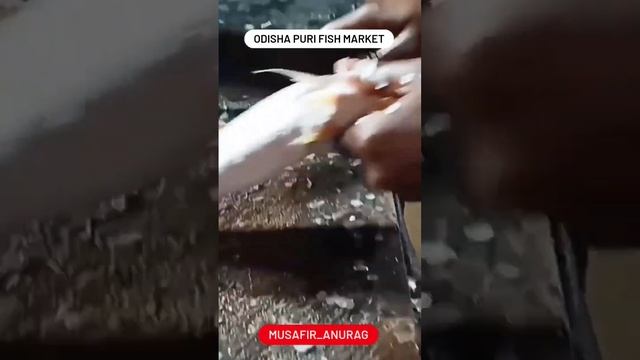 Fish Market In Puri ।। उड़ीसा का मछली बाजार ।। Puri Odisha #shorts