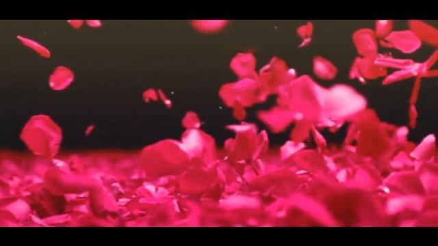 Igor Krutoy I Miss You Even in my Sleep By Adry смотреть онлайн
